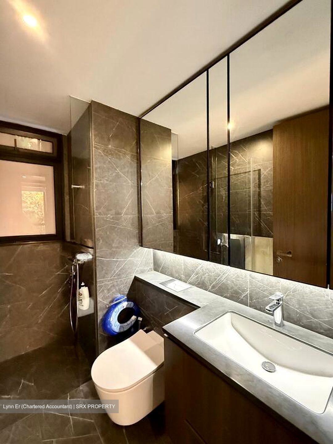 Kopar At Newton (D9), Apartment #523042441